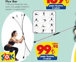 FLEX BAR FLEX BAR